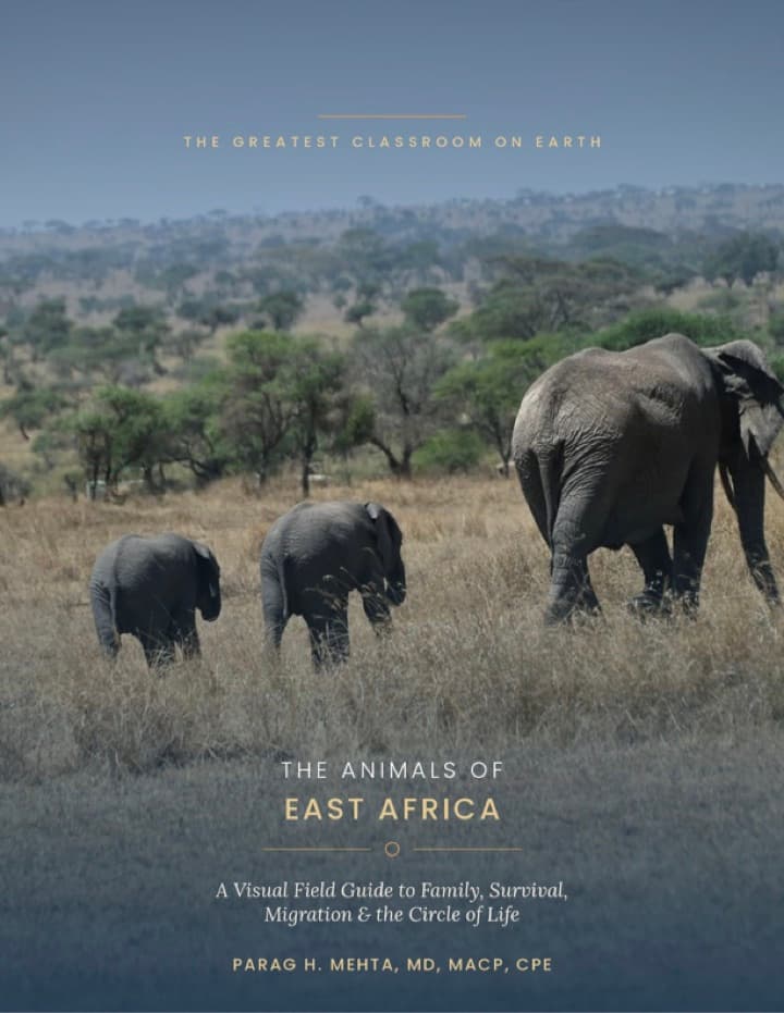 The Animals of East Africa — book cover with elephants crossing the savannah