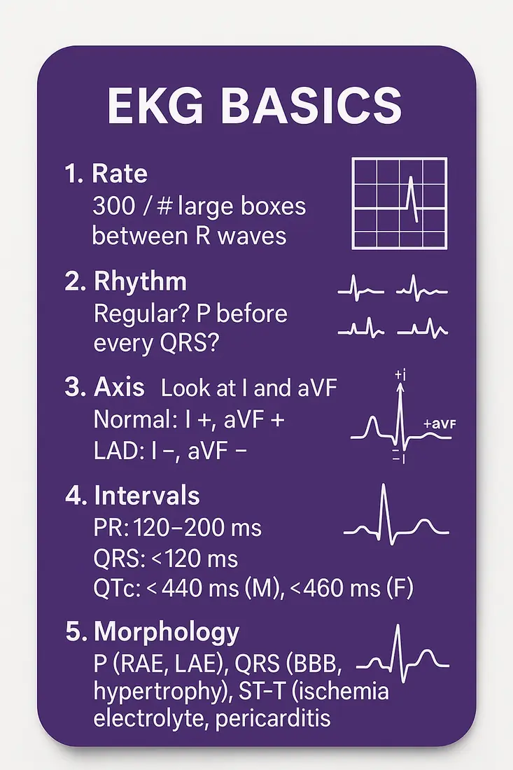EKG Basics — Rate, rhythm, axis, intervals, morphology